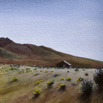 The Peninsula and poppies with early evening shadows, from Newell 